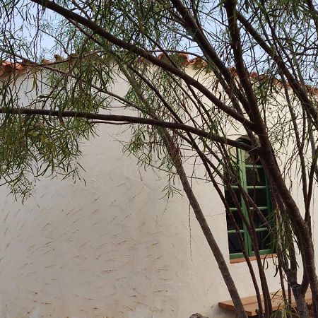 Alojamiento Fuerteventura Tikuna لا أوليفا المظهر الخارجي الصورة