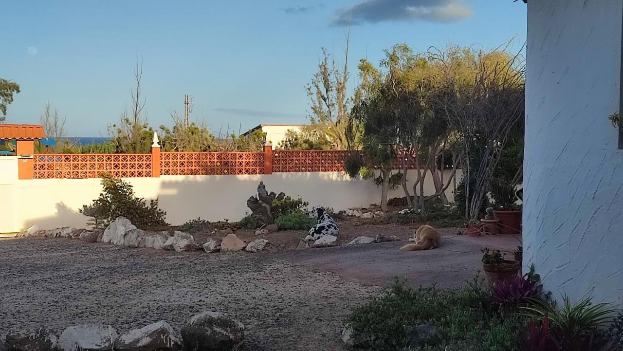Alojamiento Fuerteventura Tikuna لا أوليفا المظهر الخارجي الصورة